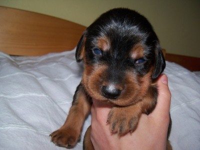 Jack
